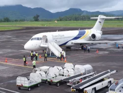 TransNusa Ekspansi Rute Internasional dan Domestik, Fokus Libur Sekolah