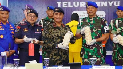 Penyelundupan 96 Ribu Telur Penyu Digagalkan: Negara Selamatkan Nilai Ekologis Rp9,6 Miliar