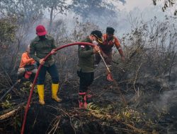 Kebakaran di Jembatan 9 Makin Ganas, Manggala Agni Kerahkan Upaya Maksimal