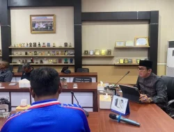 Ribuan Pohon Ditanam Serentak, Singkawang Rayakan HUT ke-24 dengan Semangat Hijau