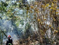 BPBD Nunukan Imbau Warga Tak Membuka Lahan dengan Membakar