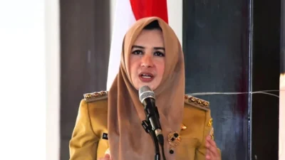 Duduk Perkara OTT