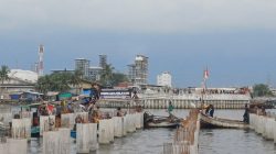 Tanggapan Pengelola NPEA soal Nelayan Cilincing Protes Proyek di Muara Cakung Drain