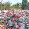 Sampah Menggunung di TPS Liar Tambun Utara Bekasi